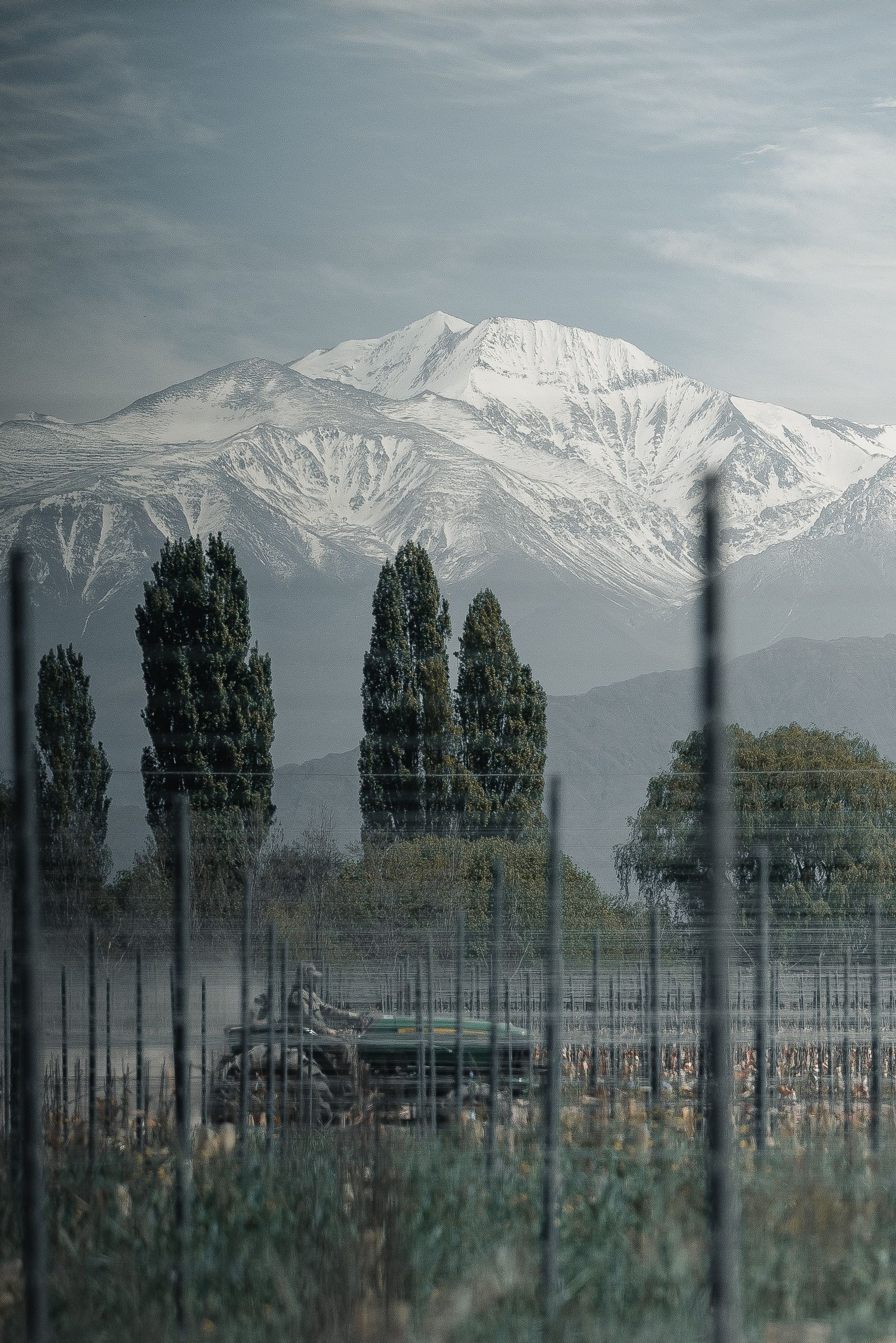 Jean Bousquet — Vinícola, Tupungato, Valle de Uco