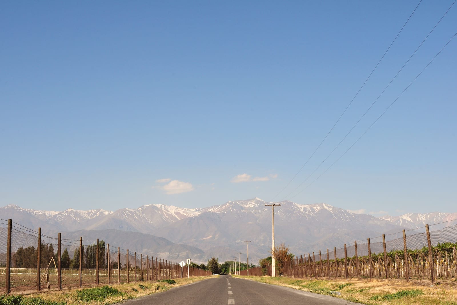 Camino recto hacia la cordillera nevada de los Andes, bordeado de viñedos